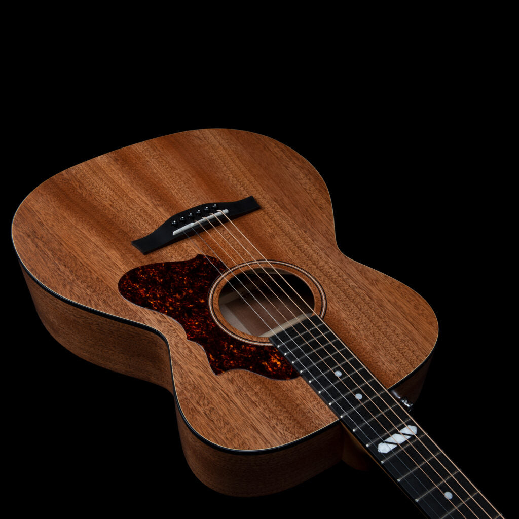 Godin Metropolis Composer LR Baggs Element