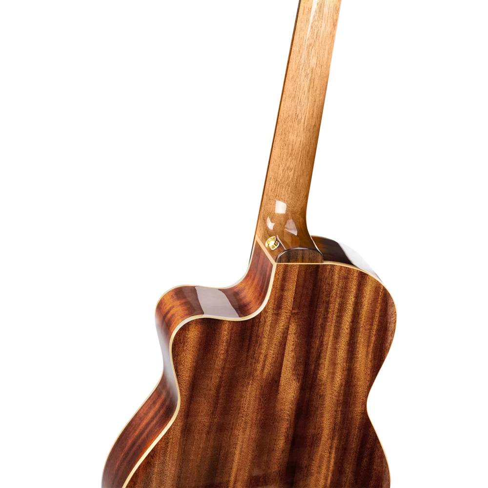 Ortega RCE138-T4 Performer Series Solid Top Thinline Crossover Acoustic-Electric Nylon Classical Guitar w/Bag, Right Handed