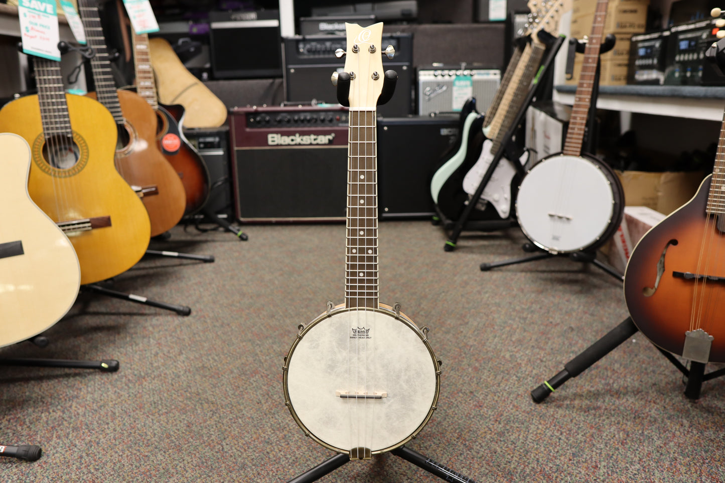Ortega Guitars OUBJE90-MA Banjolele Series Concert Size Ukulele Maple Natural