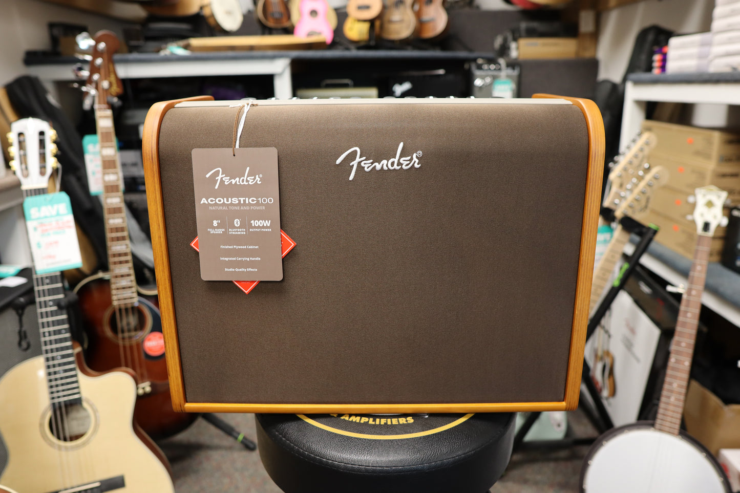 Fender Acoustic 100, 120V