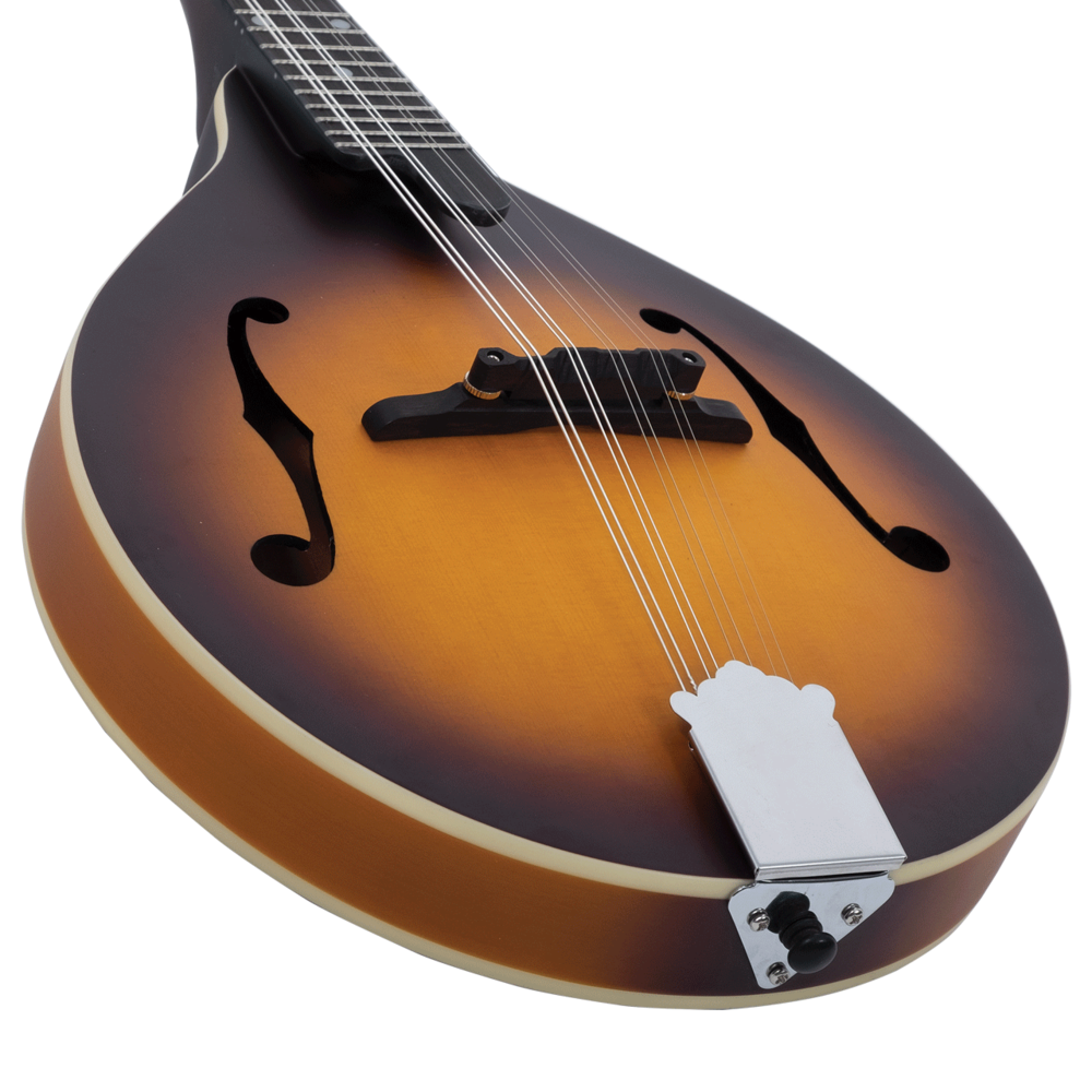 Recording King Dirty 30s A-Model Mandolin