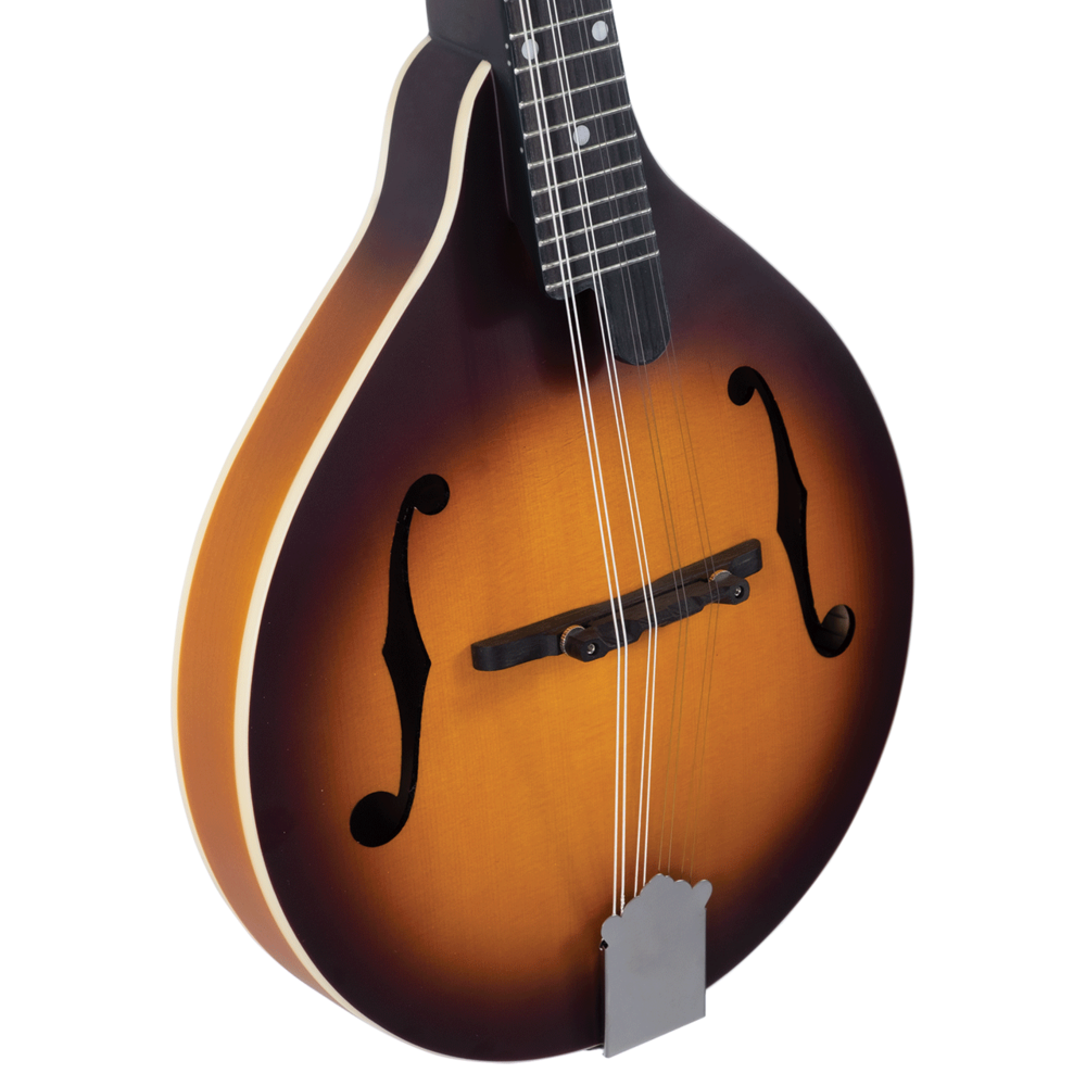 Recording King Dirty 30s A-Model Mandolin