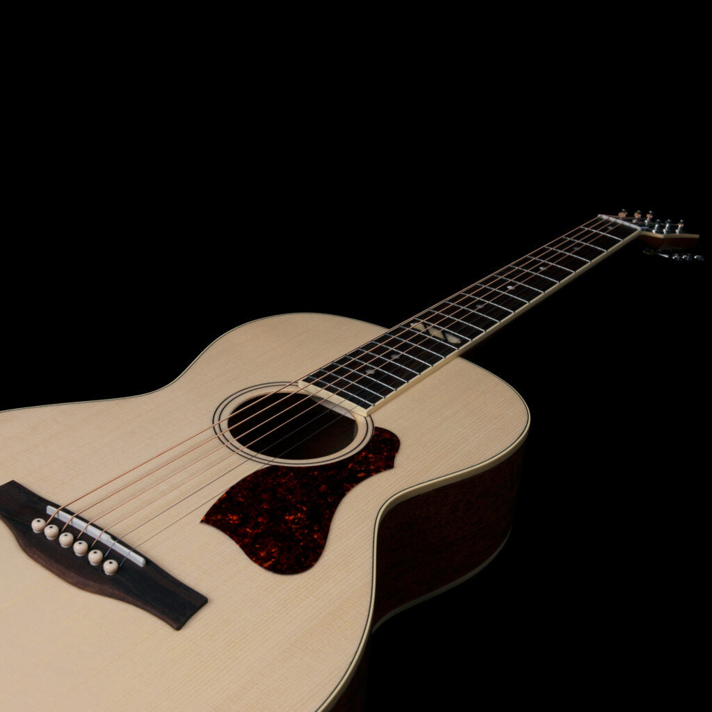Godin Rialto RN GT EQ Guitar - Natural