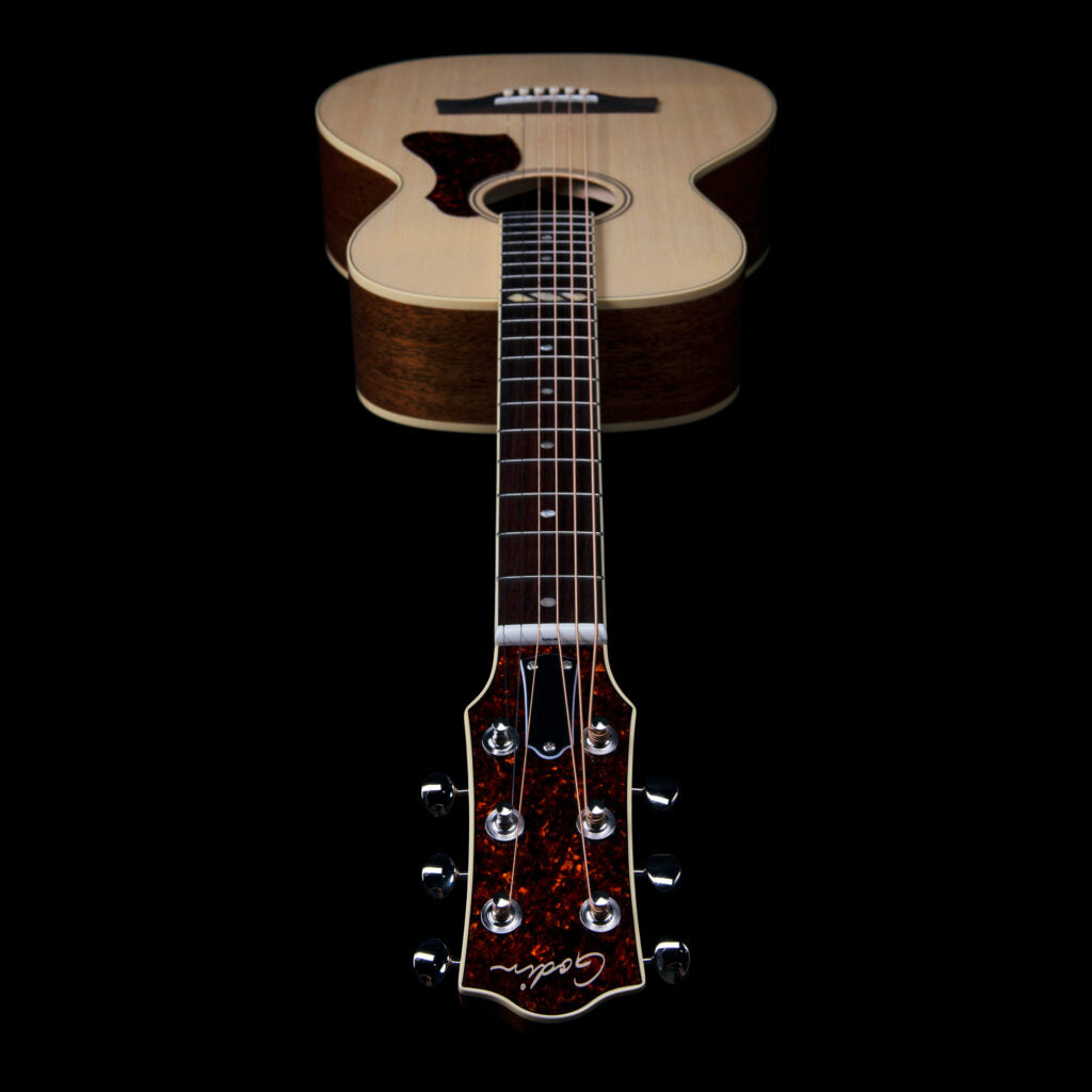 Godin Rialto RN GT EQ Guitar - Natural