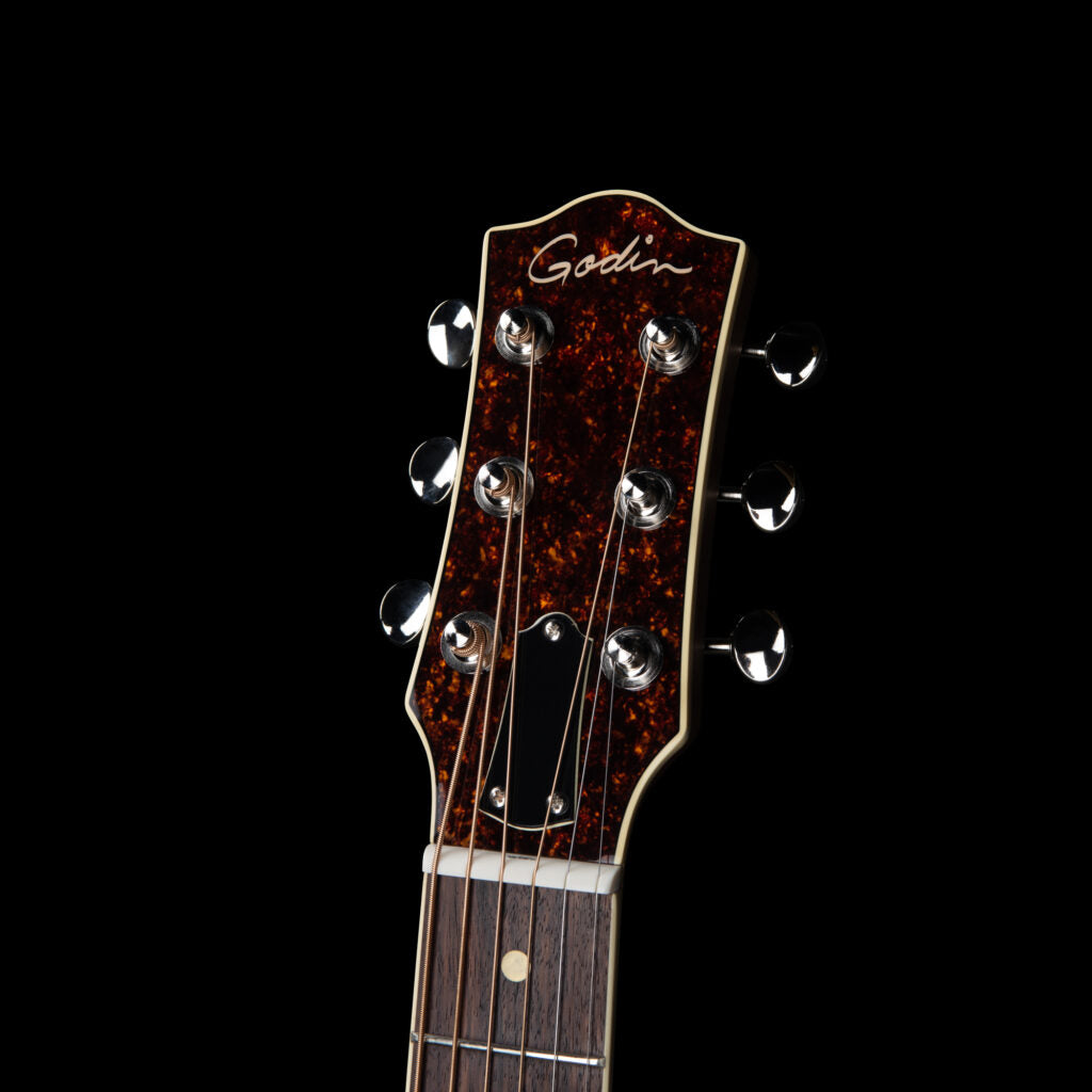 Godin Rialto Laguna Blue HG Q-Discrete Ltd