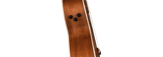 Fender  Newporter Special, Pau Ferro Fingerboard, Black Pickguard, Honey Burst