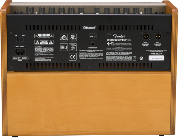 Fender Acoustic 100, 120V
