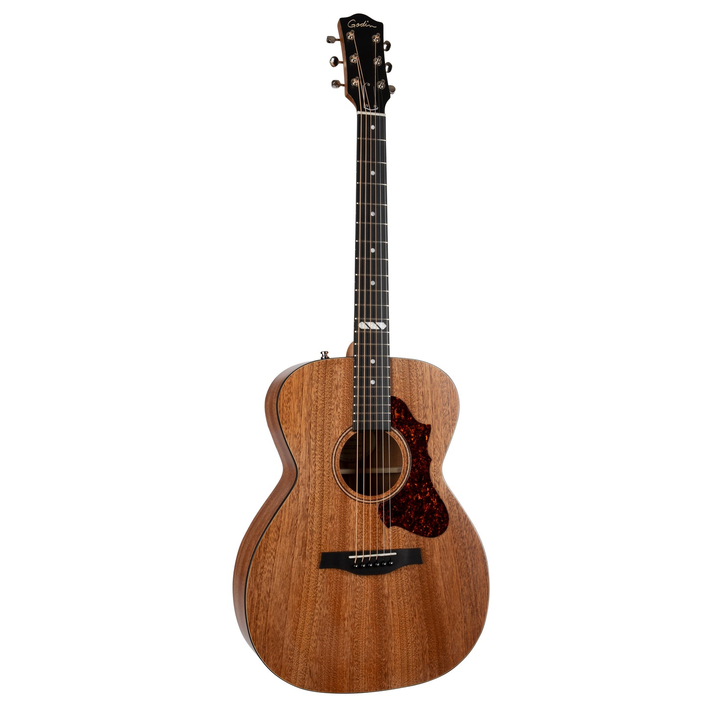 Godin Metropolis Composer LR Baggs Element