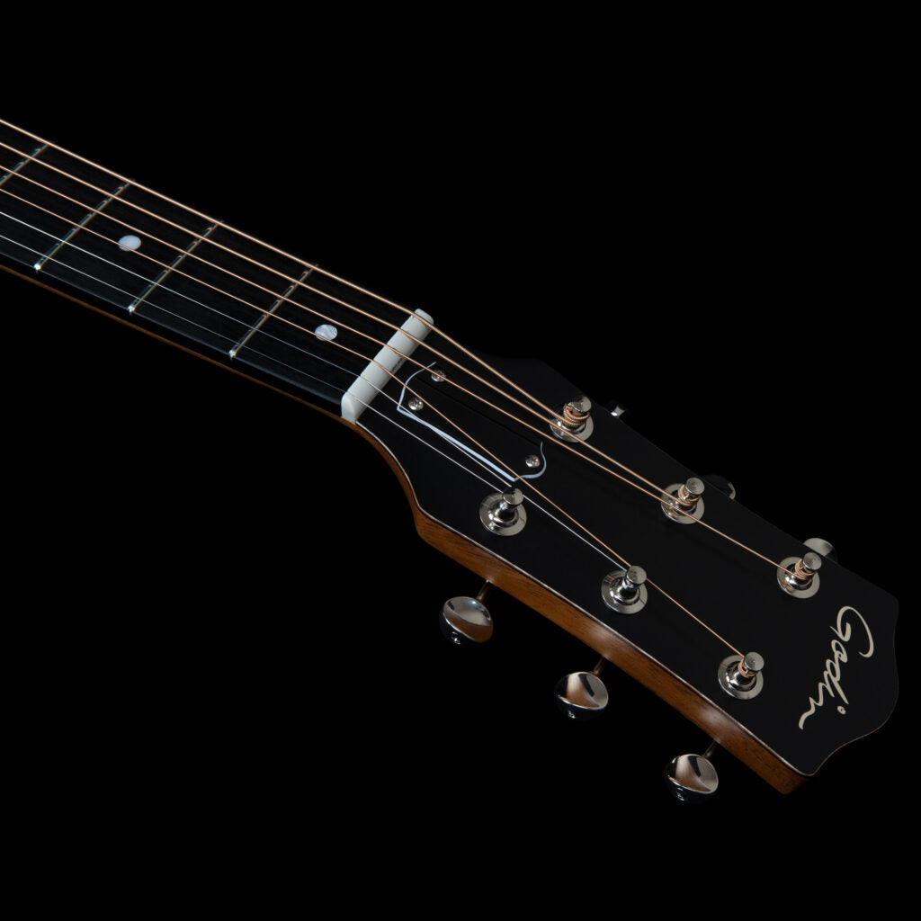 Godin Metropolis Composer LR Baggs Element