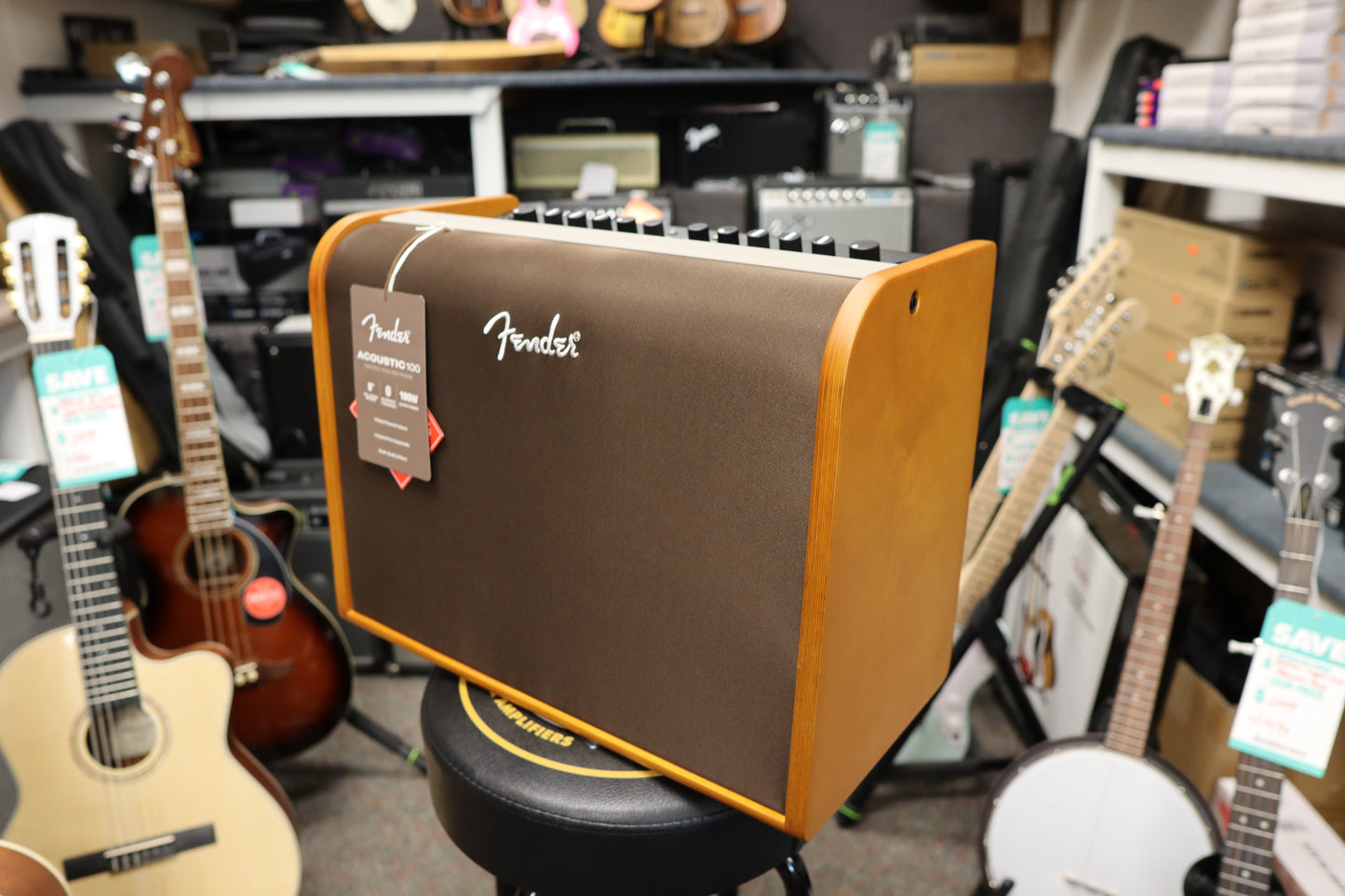 Fender Acoustic 100, 120V