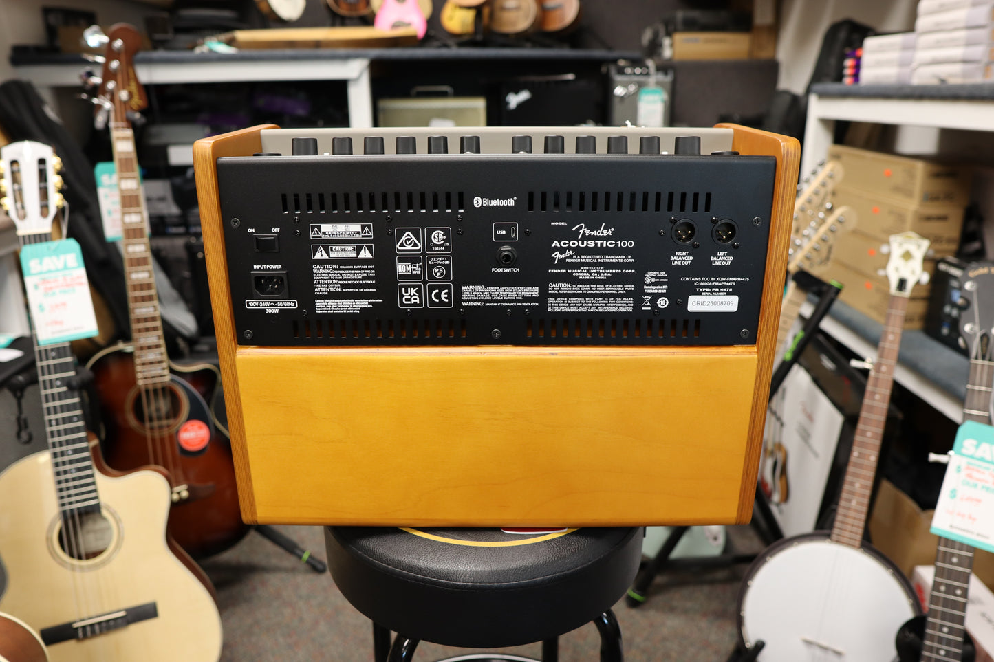 Fender Acoustic 100, 120V