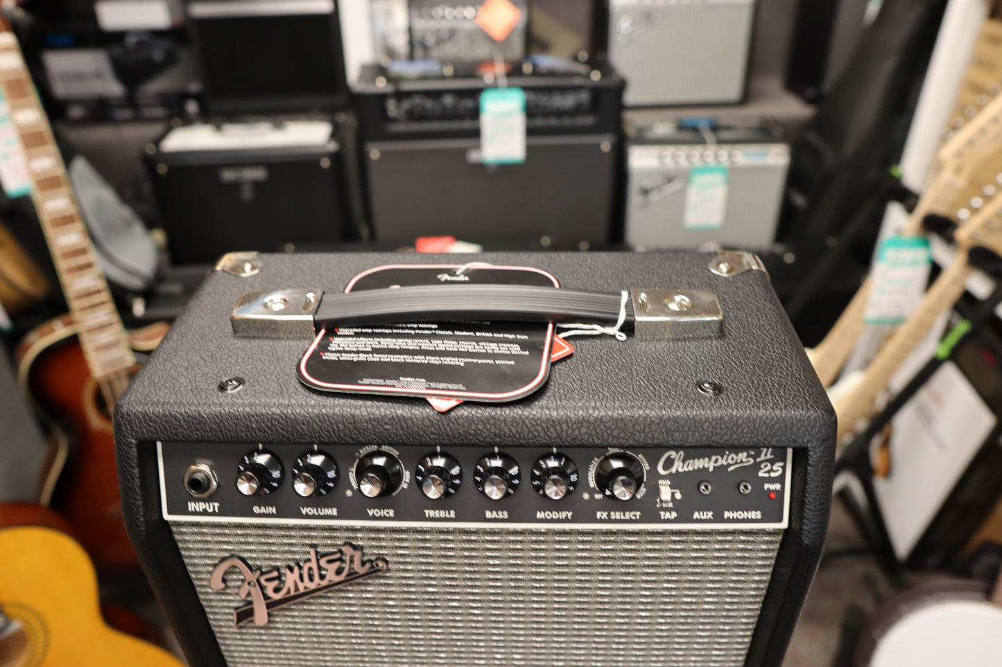 Fender Champion™ II 25, 120V