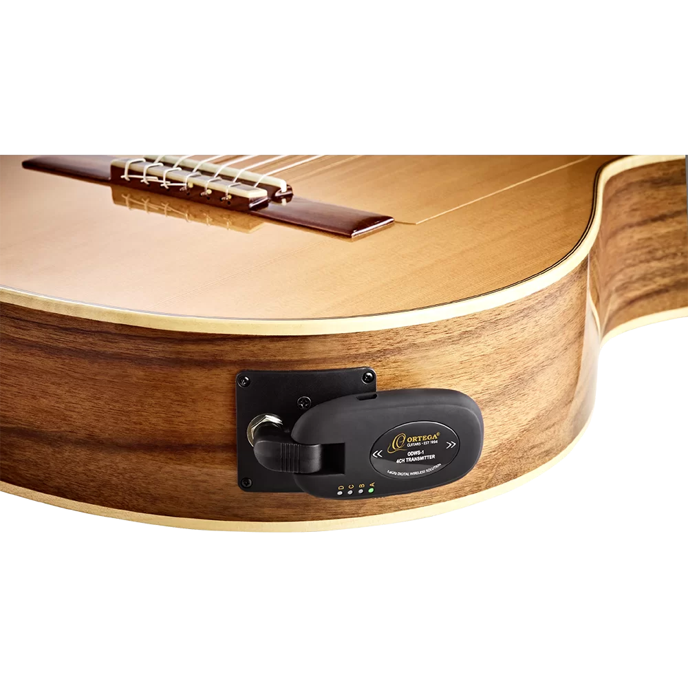 Ortega ODWS-1 Digital Wireless System