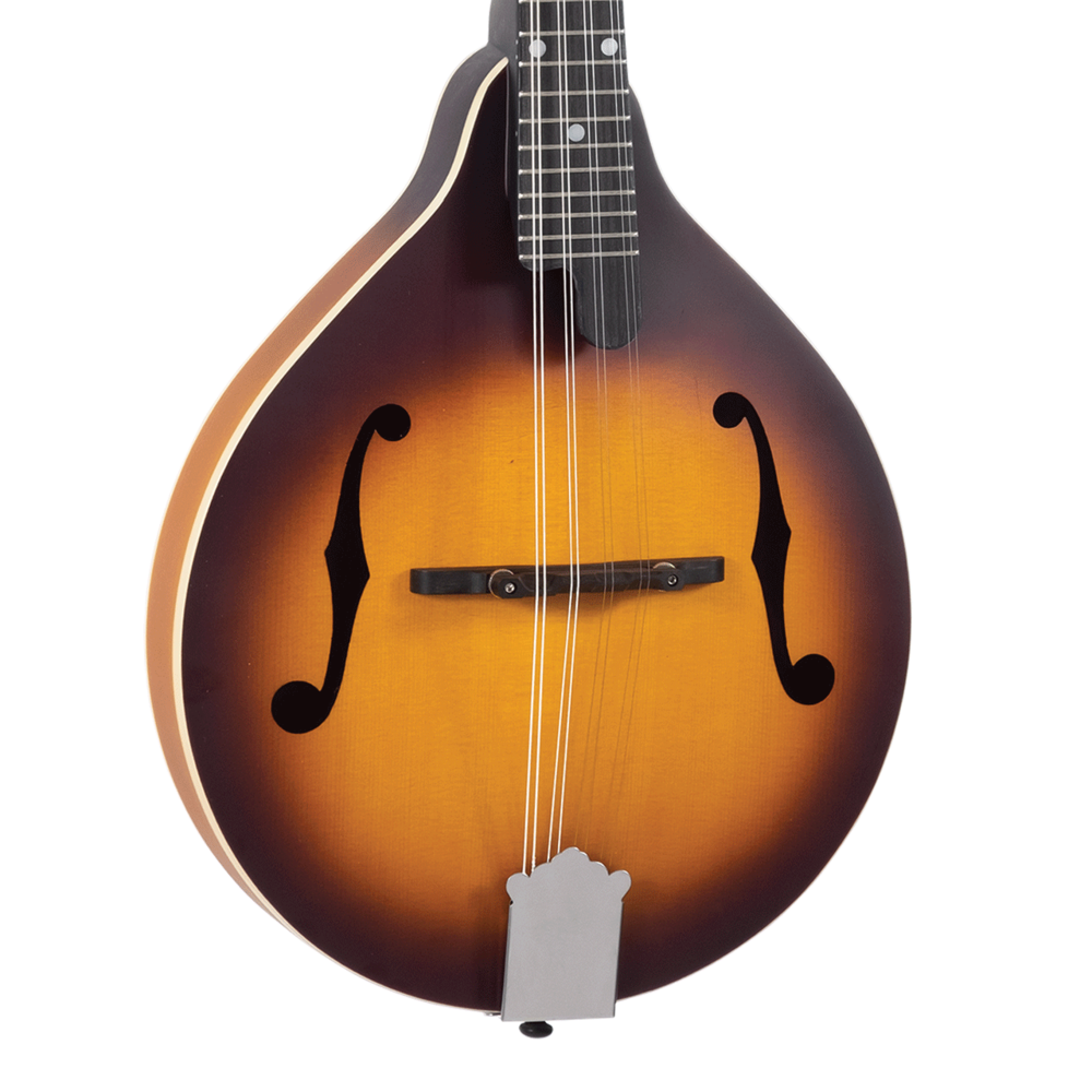 Recording King Dirty 30s A-Model Mandolin