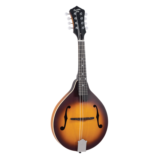 Recording King Dirty 30s A-Model Mandolin