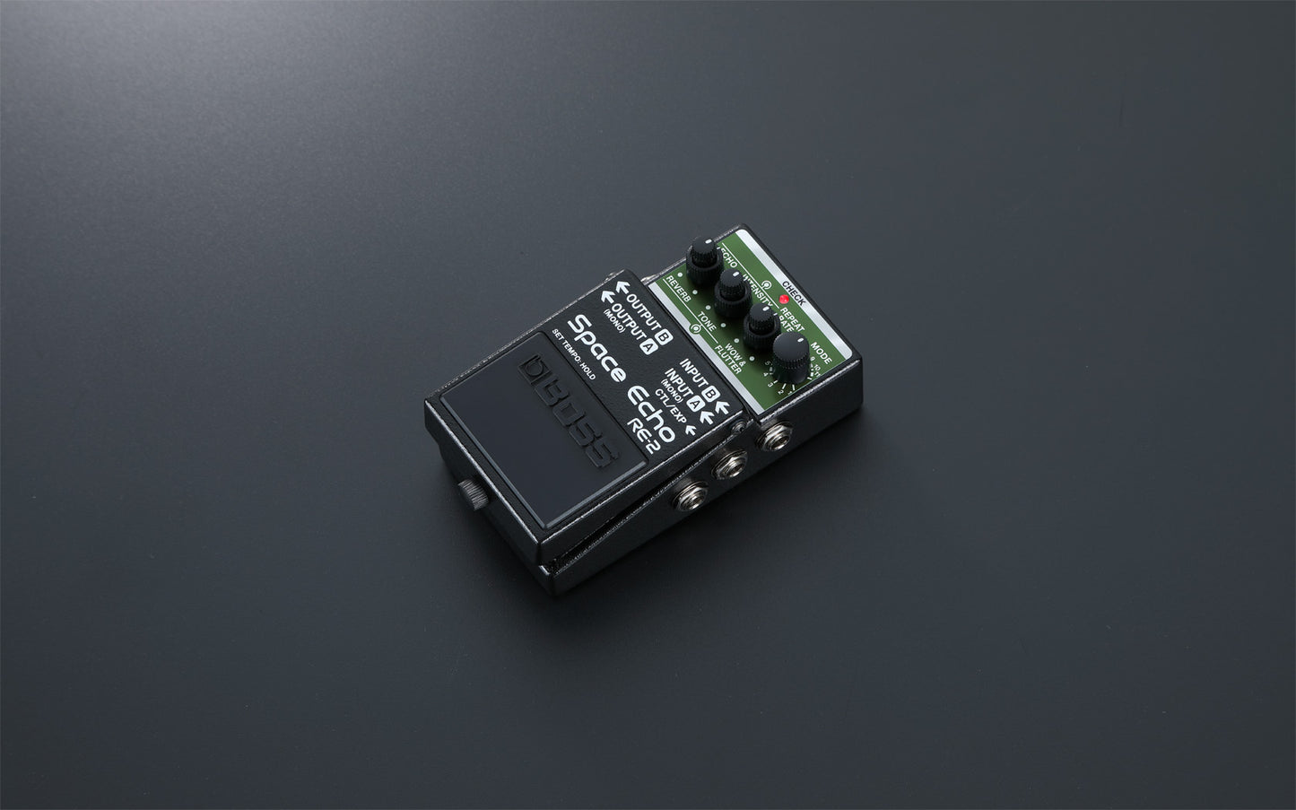 BOSS RE-2 Space Echo