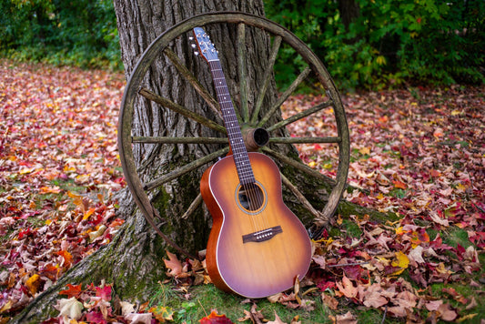 Seagull Entourage Folk Rustic Burst